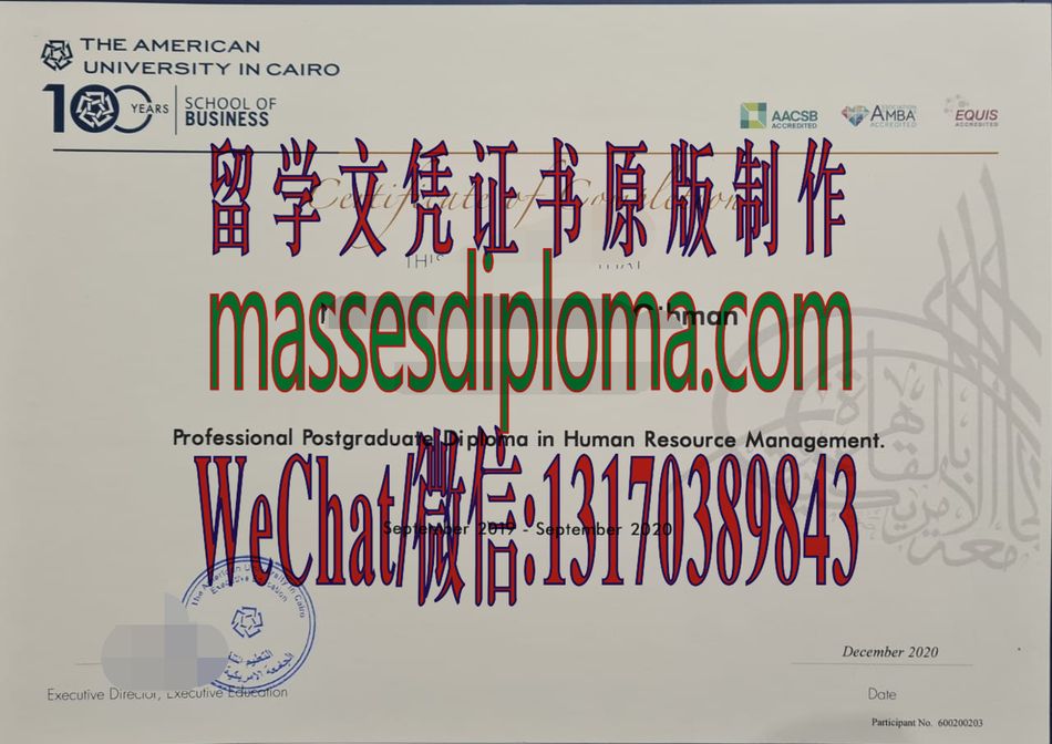 一比一原版开罗美国大学文凭 一比一原版开罗美国大学文凭