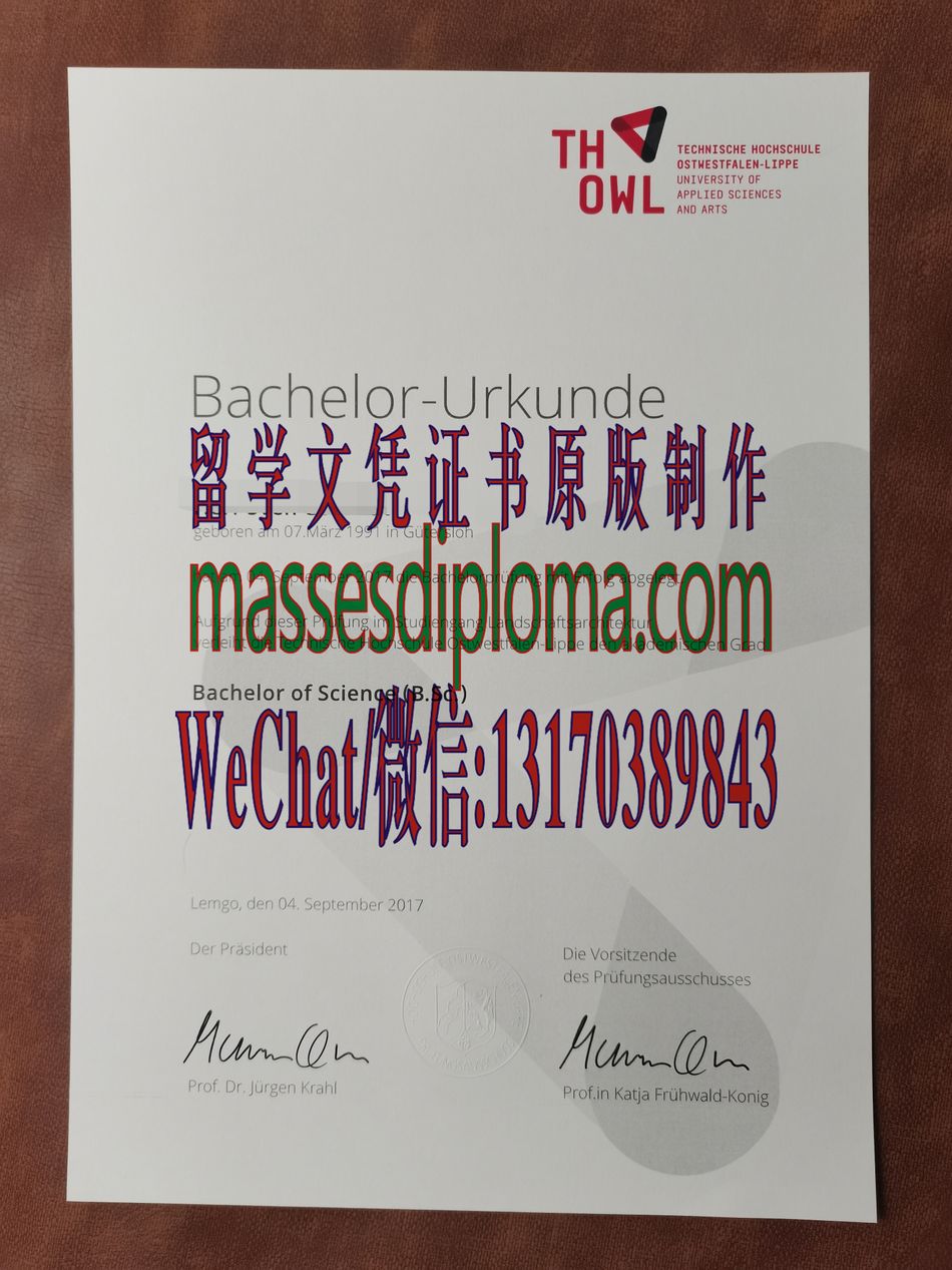 东威斯特法伦-利普应用技术大学文凭哪里能办 东威斯特法伦-利普应用技术大学文凭哪里能办
