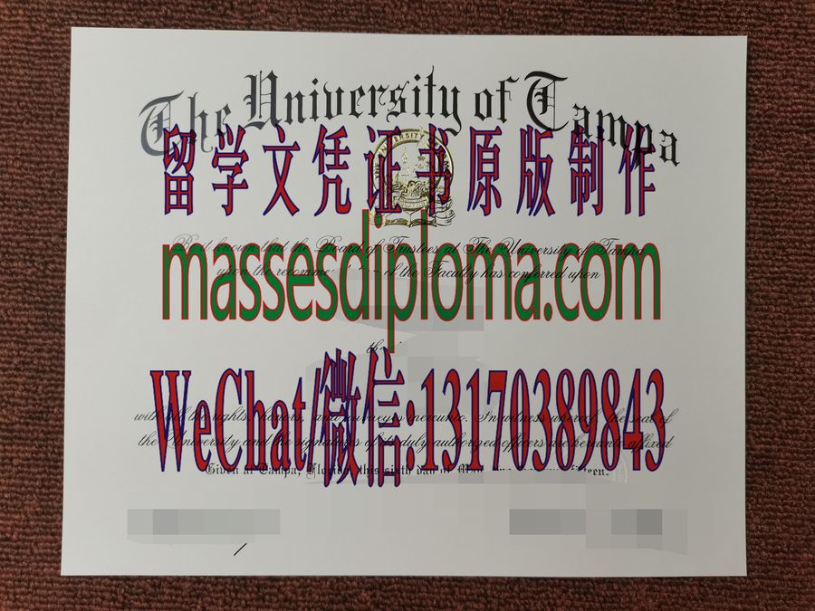 仿制坦帕大学文凭 仿制坦帕大学文凭