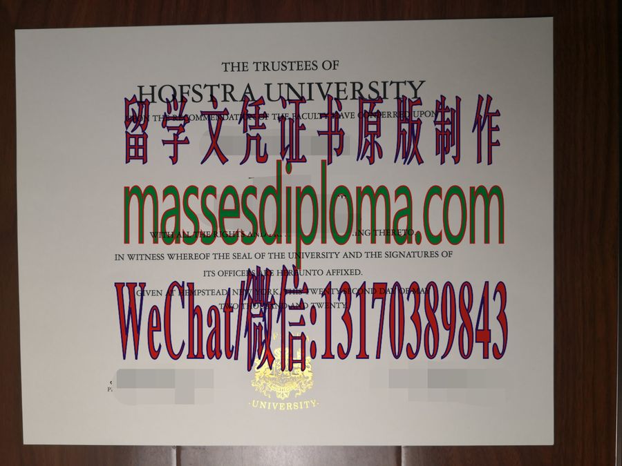 仿制霍夫斯特拉大学文凭 仿制霍夫斯特拉大学文凭