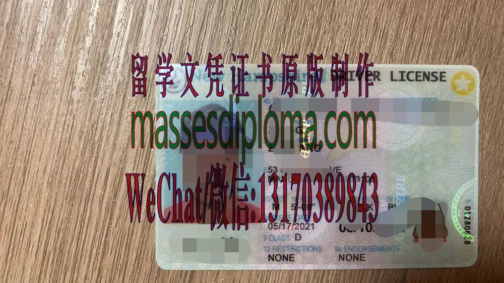 制作购买新罕布什尔州驾驶执照 制作购买新罕布什尔州驾驶执照