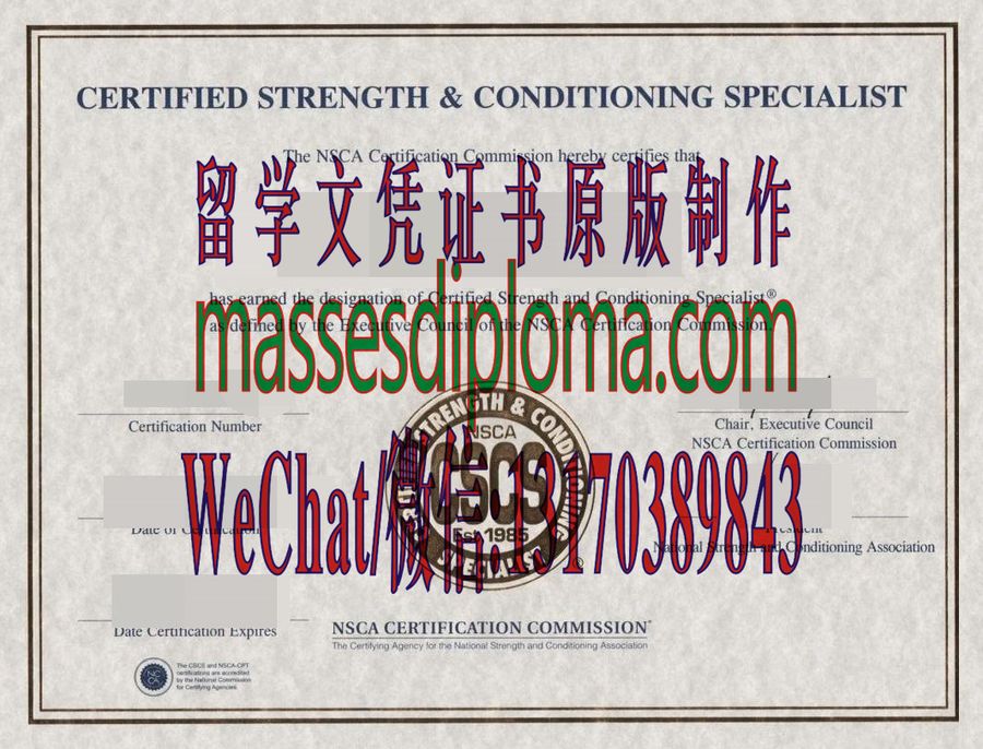 办理制作CSCS证书 办理制作CSCS证书