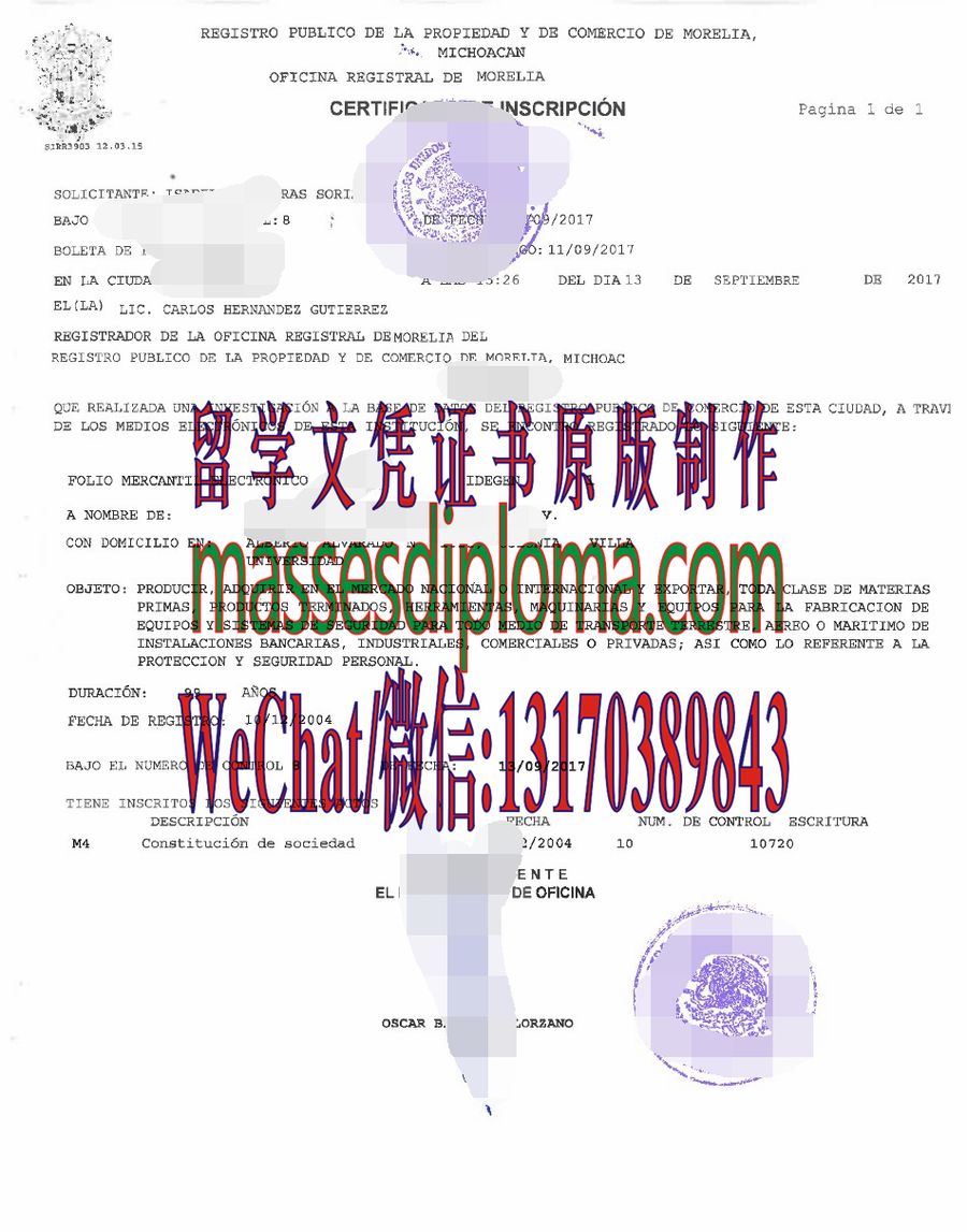 办理制作新墨西哥州企业商业登记簿 办理制作新墨西哥州企业商业登记簿