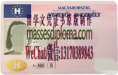 办理定制匈牙利驾驶执照 办理定制匈牙利驾驶执照