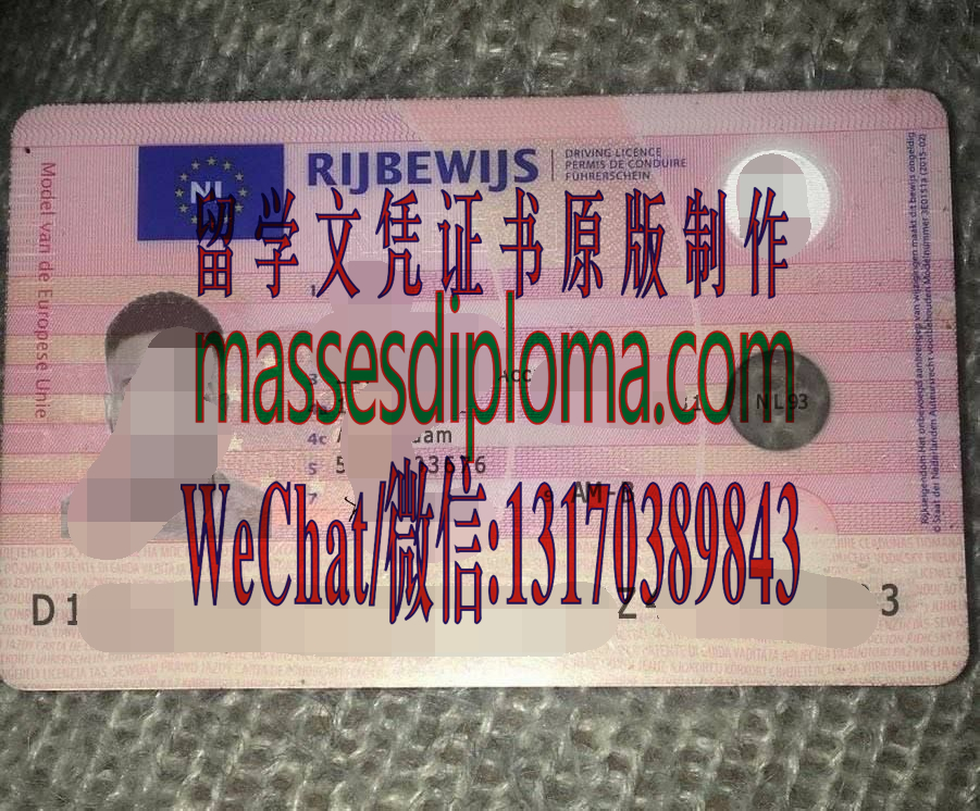 办理定制荷兰驾驶执照 办理定制荷兰驾驶执照