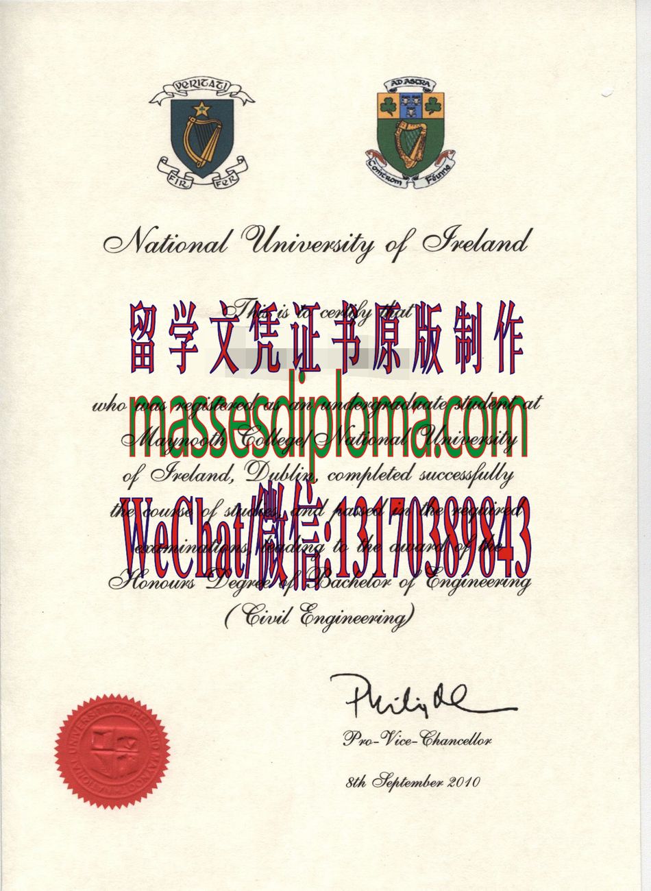 原版国立大学梅鲁斯学院毕业证毕业证 原版国立大学梅鲁斯学院毕业证毕业证