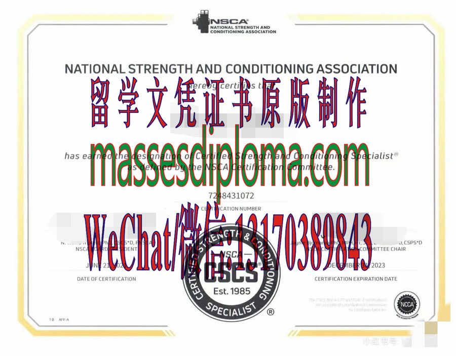 定制购买CSCS体能教练员证书 定制购买CSCS体能教练员证书