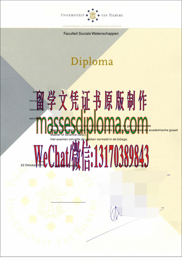 荷兰蒂尔堡大学毕业证哪里能办理 荷兰蒂尔堡大学毕业证哪里能办理